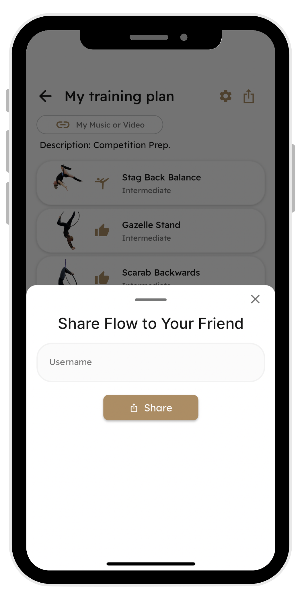 Share your Flow screen